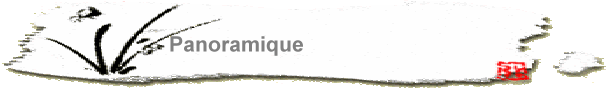 Panoramique